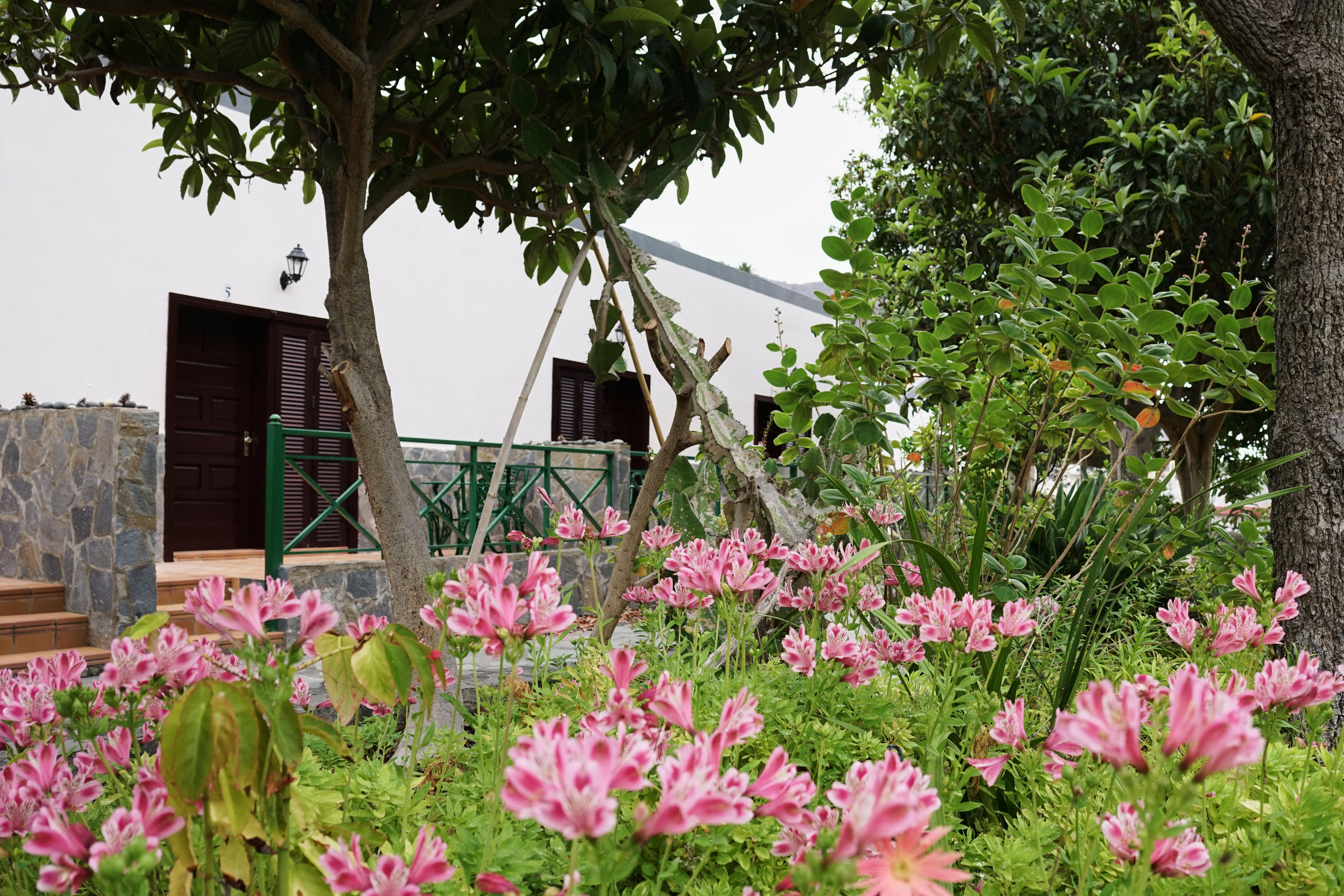 Finca Piñero Hermigua Exterior foto